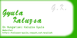 gyula kaluzsa business card